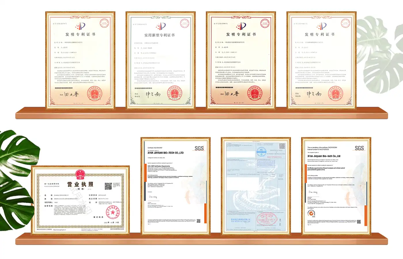 Coenzyme Q10 Powder Certificates