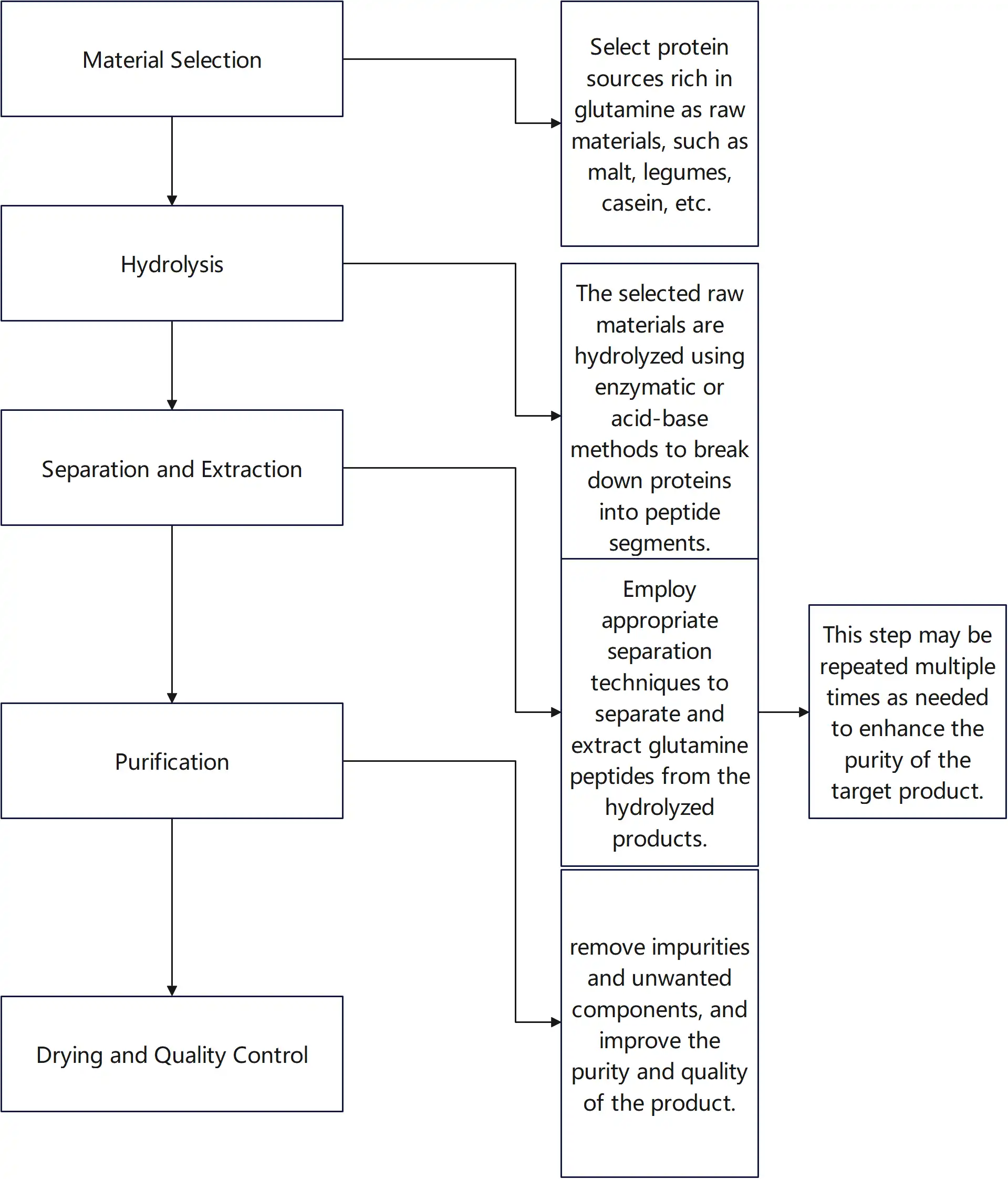 Glutamine Peptide Process