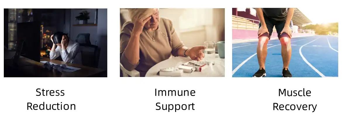 Glutamine Peptide Functions Glutamine Peptide Functions