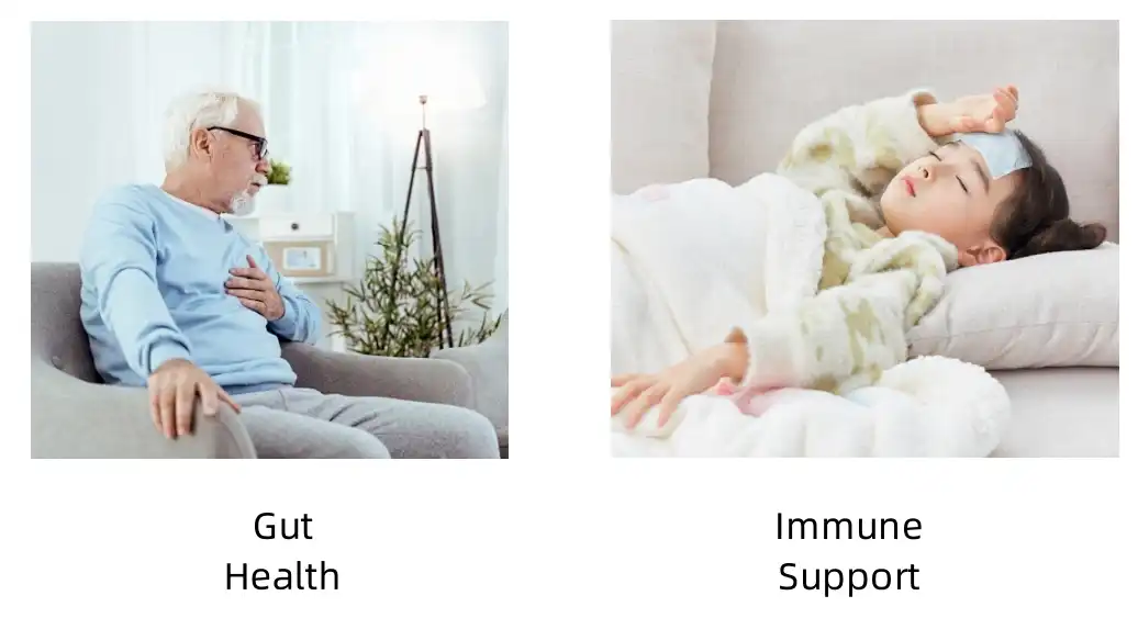 Whey Peptides Functions Whey Peptides Functions