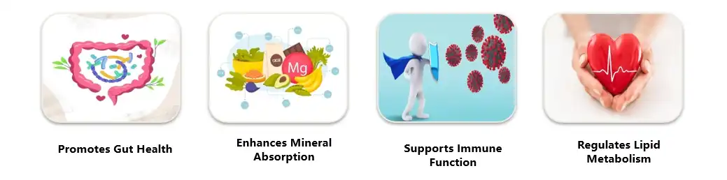 pure inulin powder Functions