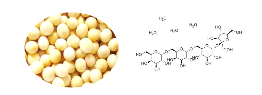 Soybean Oligosaccharides