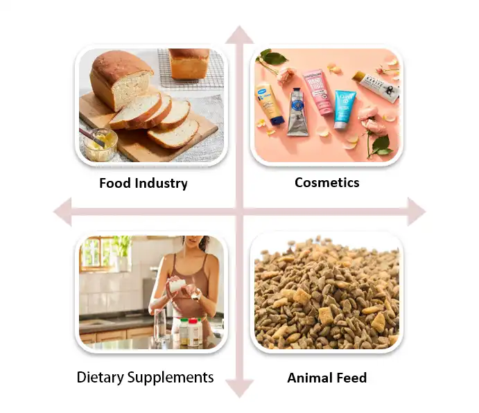 Soybean Oligosaccharides Application