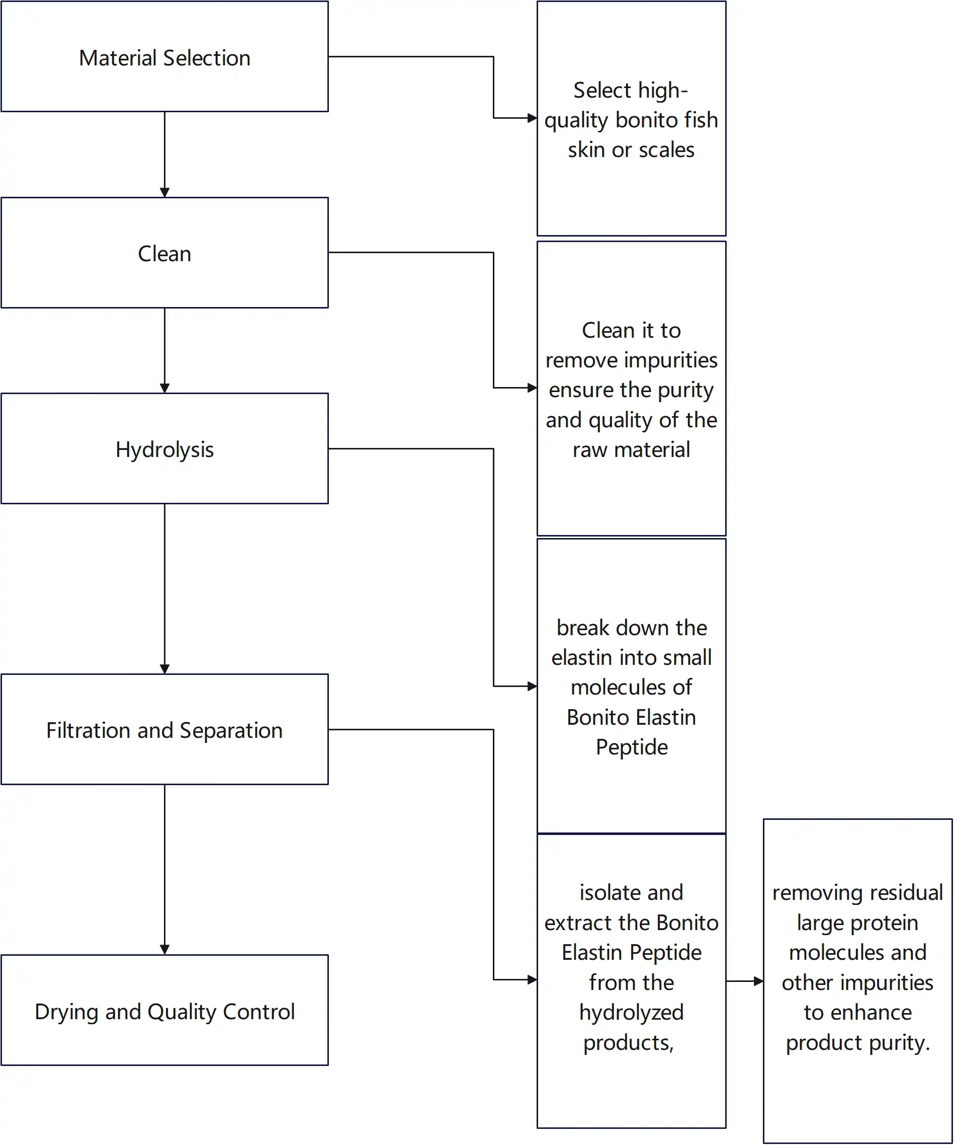 Bonito Elastin Peptide Processing