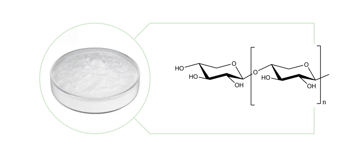 Xylooligosaccharide Powder