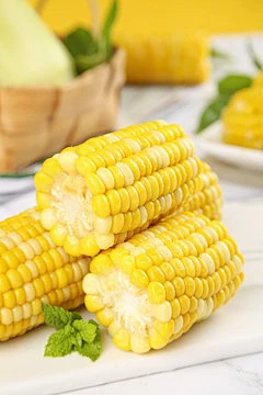 Corn Oligopeptides Peptide