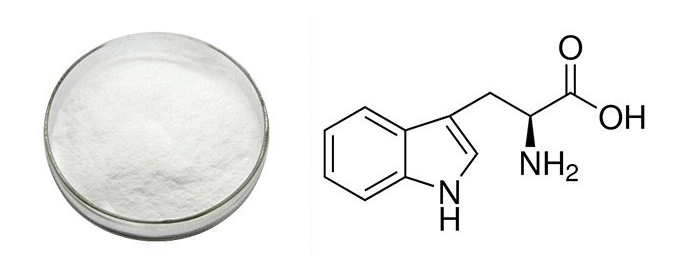 L-Tryptophan Powder