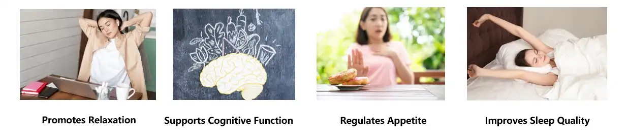 L-Tryptophan Powder Functions