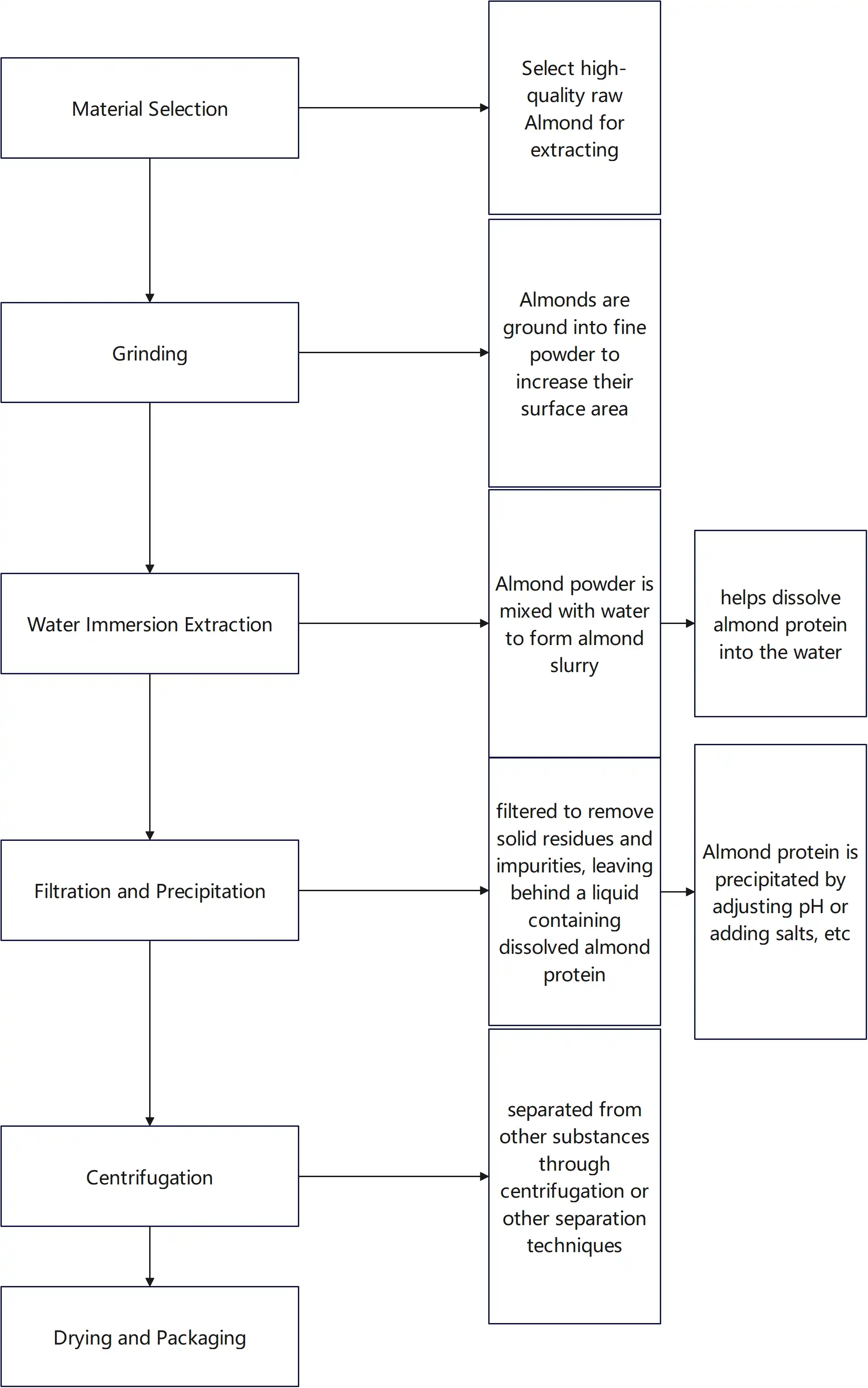 Almond Protein Powder Processing