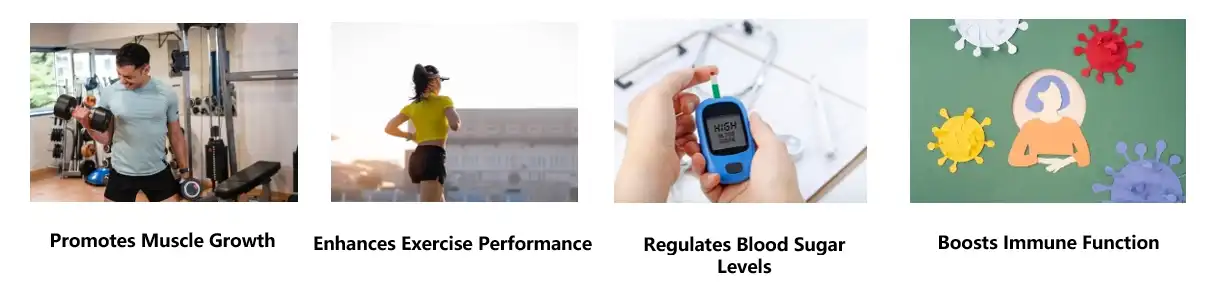 L-Valine Powder Functions