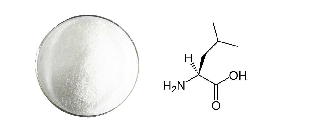 Branched Chain Amino Acids Powder