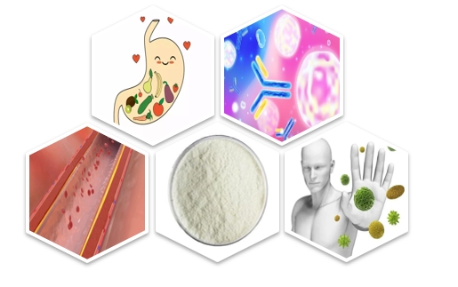 Vitamin B6 Powder Functions