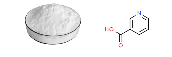 Vitamin B3 Powder Vitamin B3 Powder