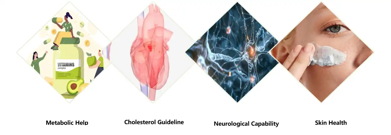 Vitamin B3 Powder Functions Vitamin B3 Powder Functions