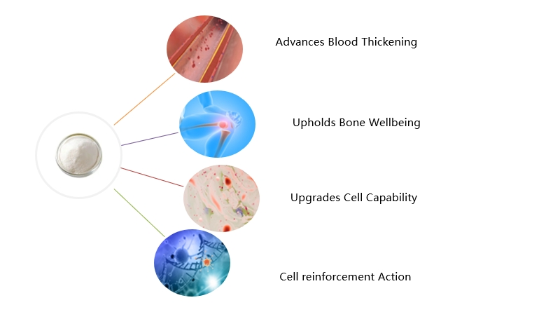 Vitamin K3 Powder Functions