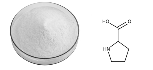 L-Proline Powder