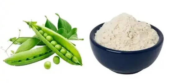 Organic Pea Protein Powder