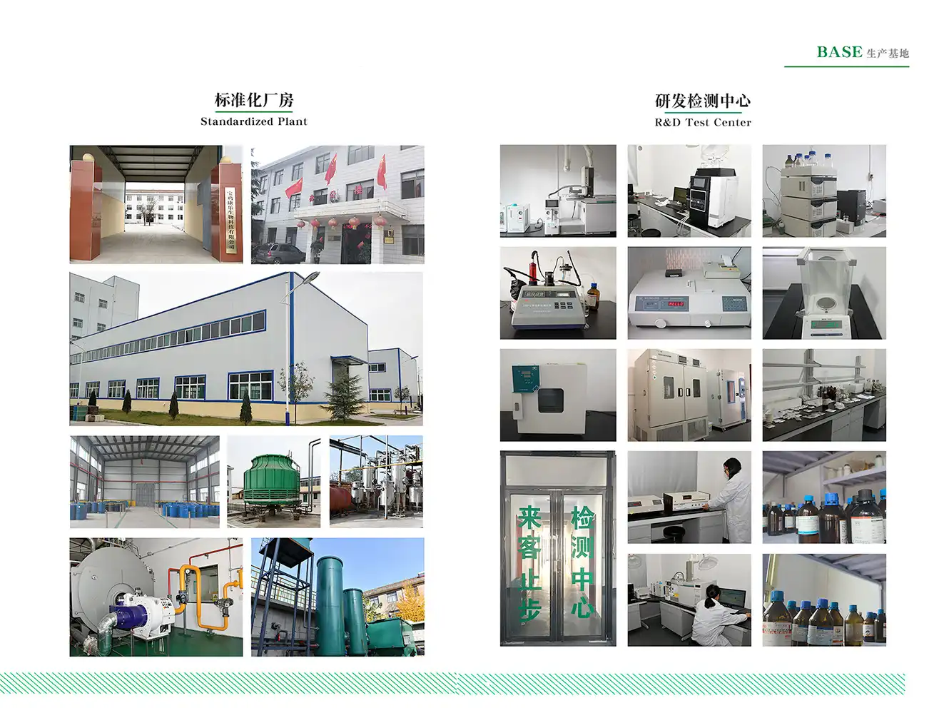 Zein Peptides factory