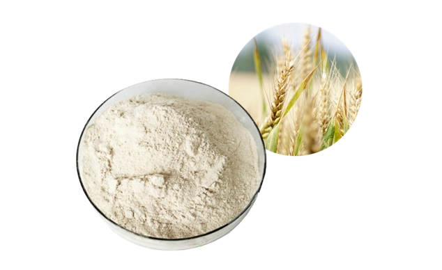 Wheat Protein Peptide