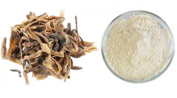 Earthworm Protein Earthworm Protein