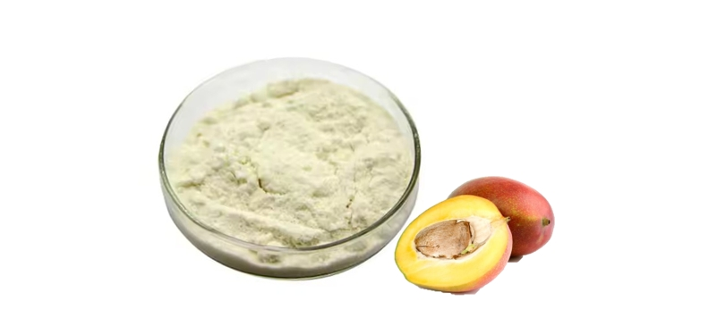 Mango Seed Protein