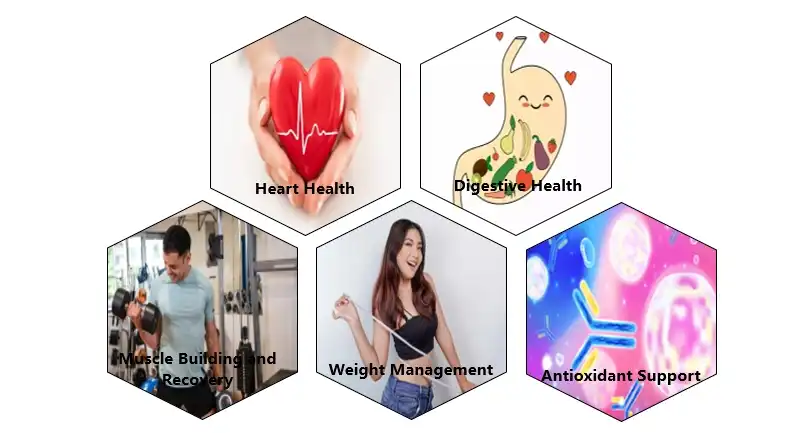 Mango Seed Protein Functions Mango Seed Protein Functions