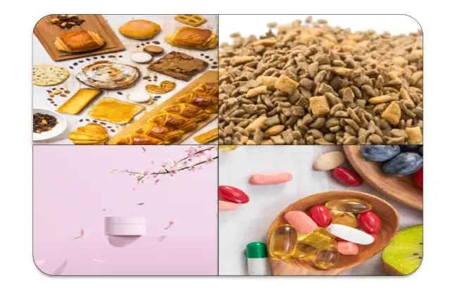 Mango Seed Protein Application Mango Seed Protein Application