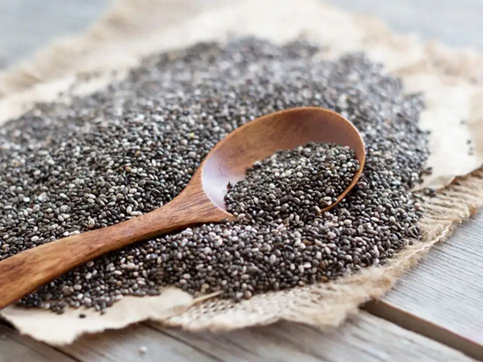 Chia Seed Protein