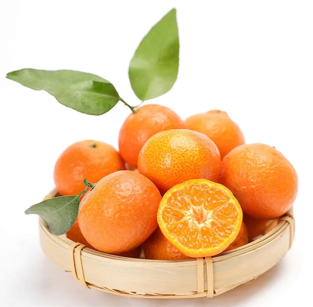 Salicin Powder Salicin Powder