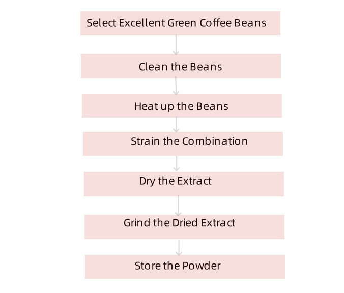 Step of green coffee bean extract powder bulk