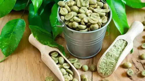 green coffee bean powder extract