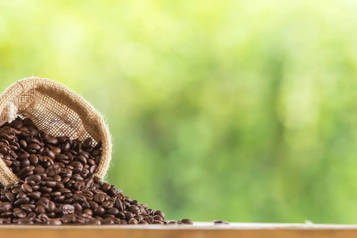 coffee bean coffee bean