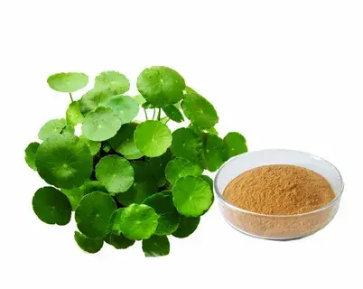 centella asiatica extract powder