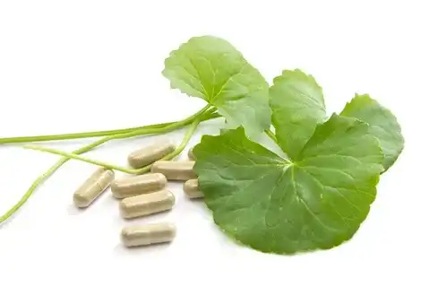 centella asiatica extract powder