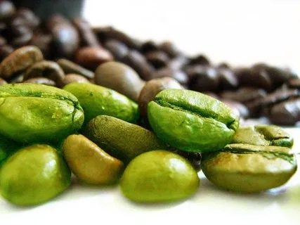 Green Coffee Bean Green Coffee Bean