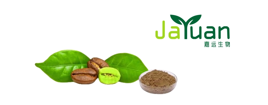 bulk green coffee bean powder bulk green coffee bean powder
