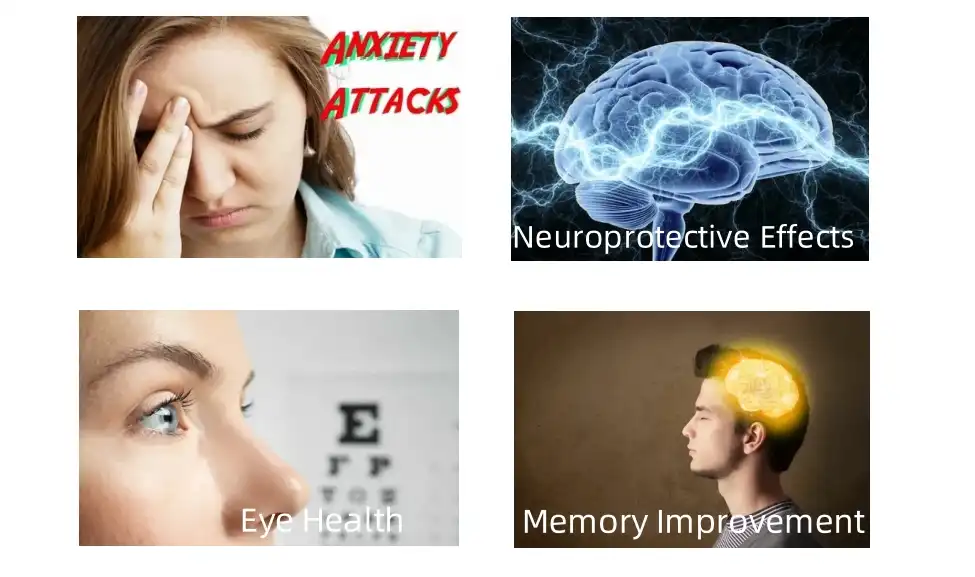 pure ginkgo biloba extract pure ginkgo biloba extract