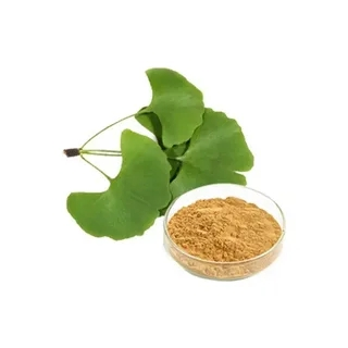 Ginkgo Biloba Extract Powder