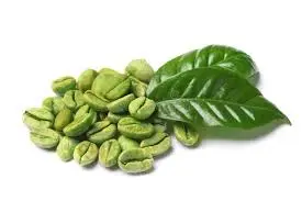 Green Coffee Bean