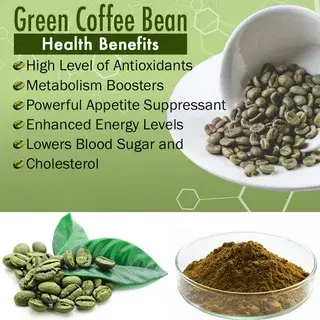 bulk green coffee bean extract powder