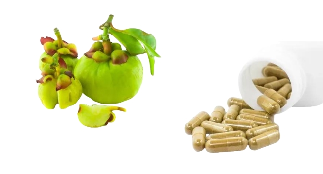 Garcinia Cambogia Extract Powder Pill