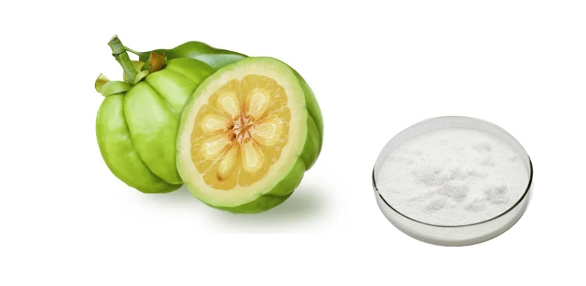 Garcinia Cambogia Extract Powder