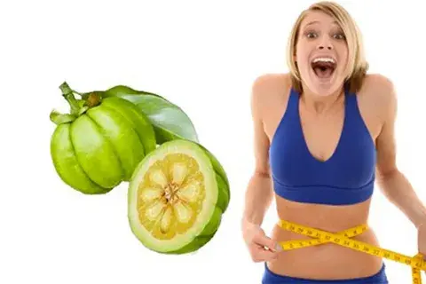 Garcinia Cambogia Extract Powder for Losing Weight