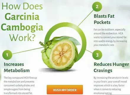 organic garcinia cambogia extract