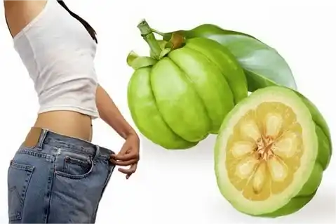 Garcinia Cambogia Extract Powder