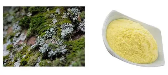 Lichen Extract