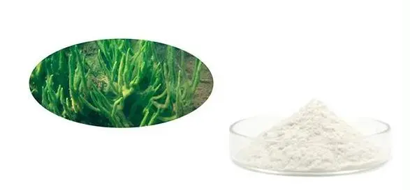 Hydrolyzed Sponge Extract