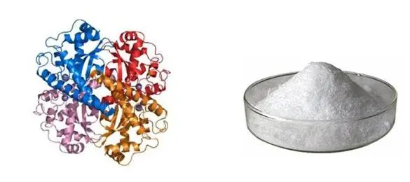 Superoxide Dismutase Powder