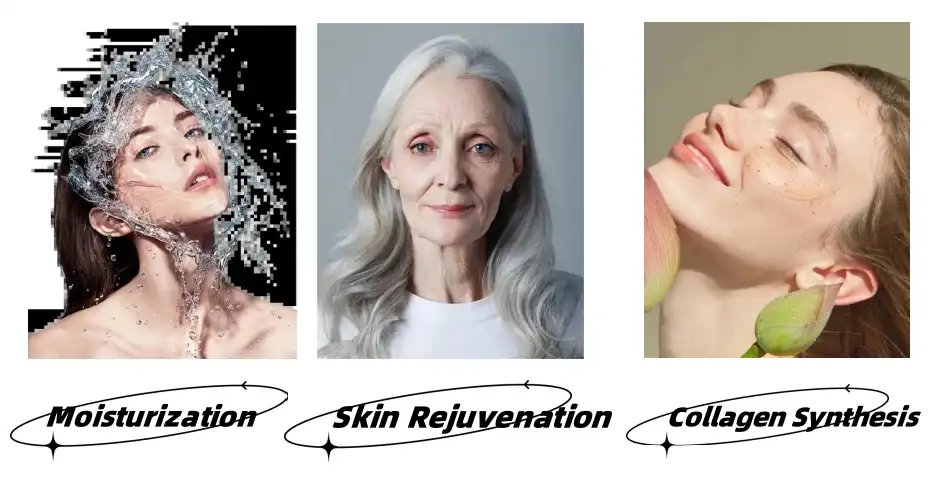 Kinetin Powder Functions Kinetin Powder Functions