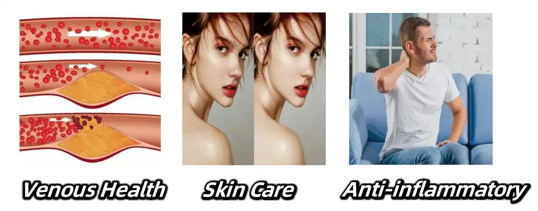 Horse Chestnut Extract Powder Functions Horse Chestnut Extract Powder Functions